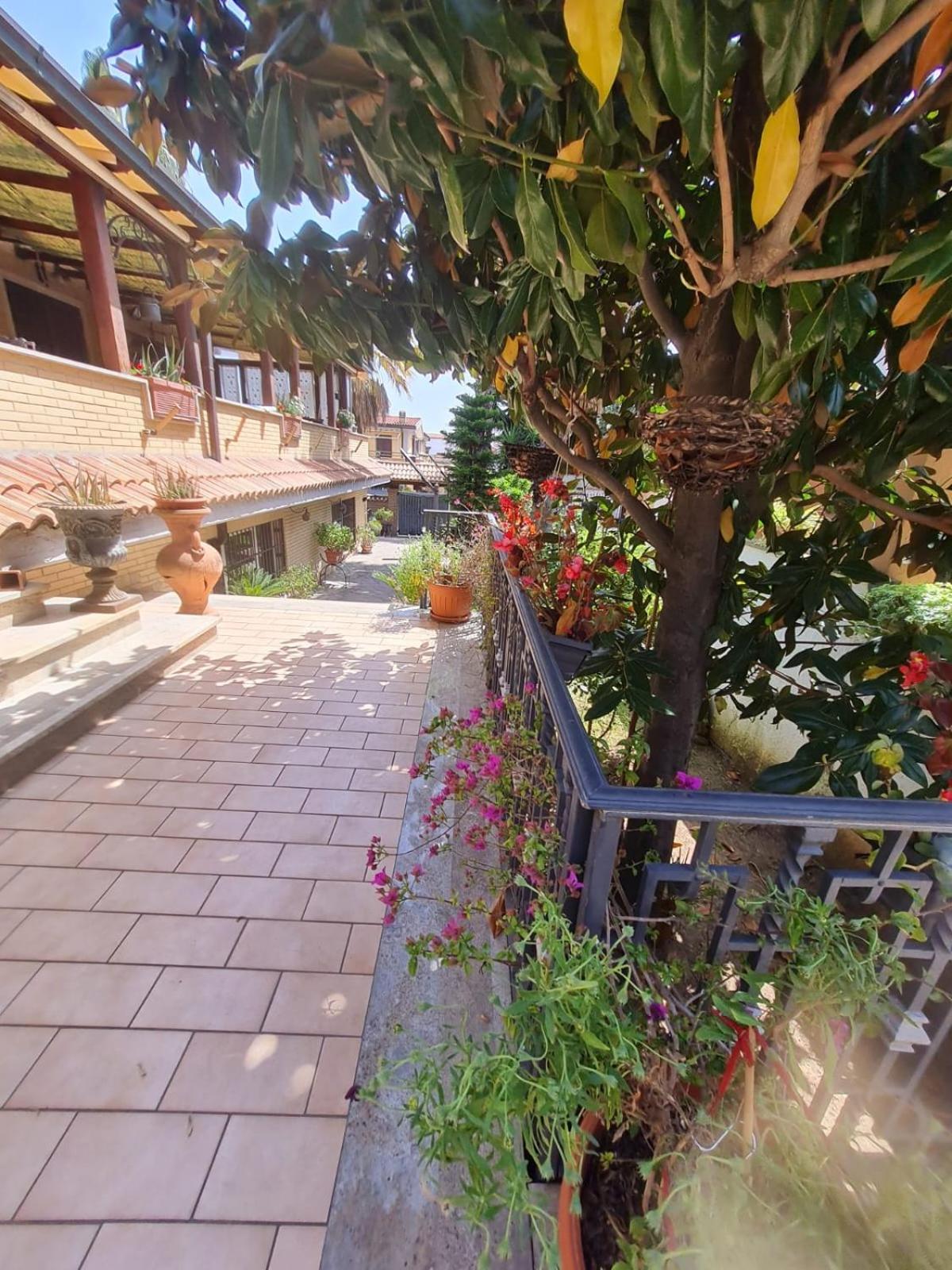 Casa vacanze Mattei Dreams *